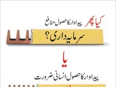 کیا پھر سرمایہ داری؟۔۔۔یا سوشلزم!